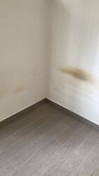 Pasir Panjang Road (D5), Detached #446126581